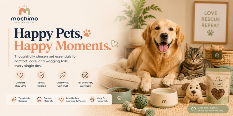 Pet Fun & Comfort